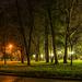 Night In the park by Julius Metodiev