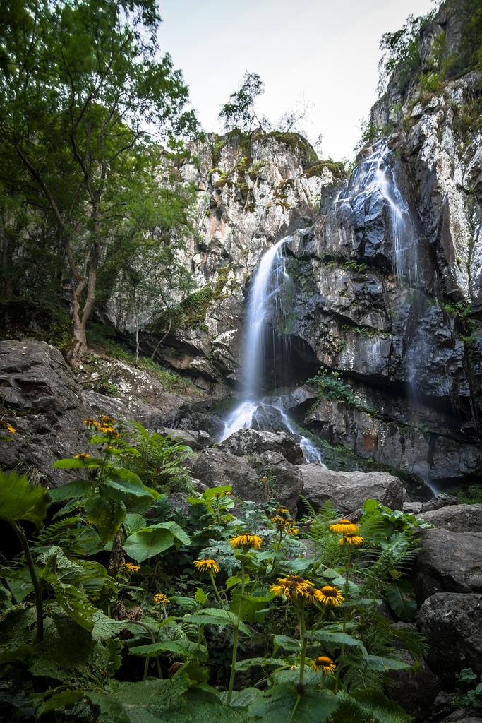 Landscape photograph Boyana Waterfall in summer. by Sergey Vasilev on PhotoCodex